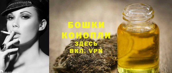 бутират Белокуриха
